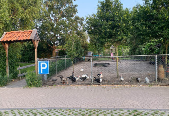 Recinto con gallinas, patos y gansos en Pipowagen 'de Weideblick', Países Bajos, señal de aparcamiento visible.