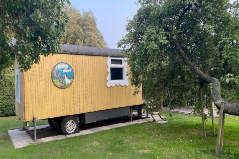 Pipowagen 'de Weideblick', casa mobile nei Paesi Bassi parcheggiata in giardino sotto un albero.