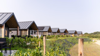 Row of modern cabins at Berg Lodge with outdoor seating, greenery, and a scenic natural background.