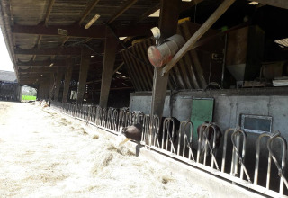 Etable à vaches - Glamping des 2 Marguerites - Vodatent - Bazoches au Houlme, Normandie, France