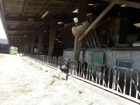 Etable à vaches - Glamping des 2 Marguerites - Vodatent - Bazoches au Houlme, Normandie, France