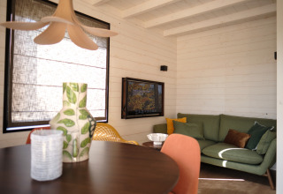 Modern ingerichte woonkamer bij Resort Gulpen 3 in Nederland met groene bank en houten lambrisering.