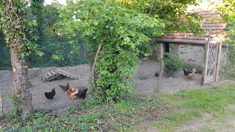 Chicken Coop - Glamping des 2 Marguerites - Vodatent - Bazoches au Houlme, Normandy, France