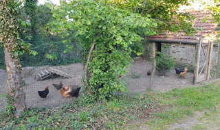 Hühnerstall - Glamping des 2 Marguerites - Vodatent - Bazoches au Houlme, Normandie, Frankreich