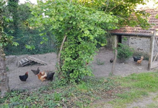 Chicken Coop - Glamping des 2 Marguerites - Vodatent - Bazoches au Houlme, Normandy, France