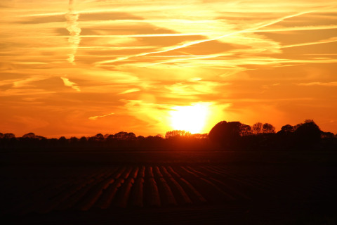 Wunderschöner Sonnenuntergang über Feldern und Bäumen bei Holiday Home 3 Aarde Green Camping Lage Zwaluwe, Niederlande.