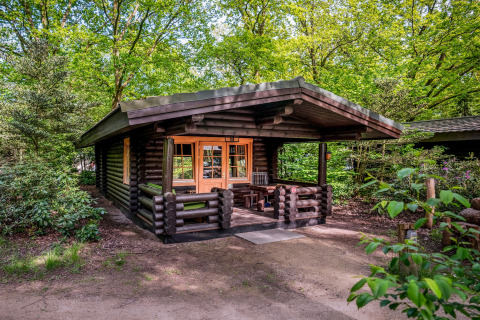 Log cabin in the woods, Park Duc de Brabant 3, Netherlands, surrounded by lush trees and greenery