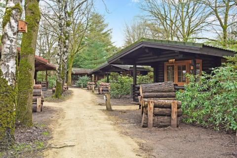 Pathway leading through wooden cabins at Park Duc de Brabant 3, Netherlands, surrounded by lush greenery.