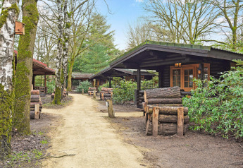 Sentiero tra chalet in legno nel Park Duc de Brabant 3, Paesi Bassi, immerso nel verde e nella natura.