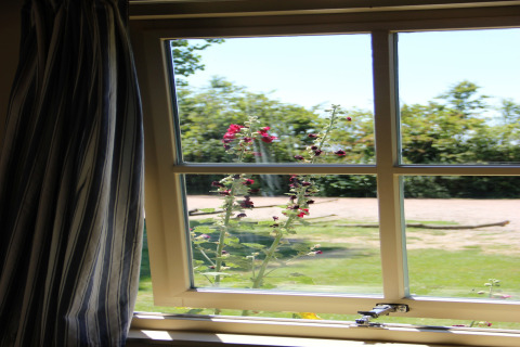 View from a window with flowers outside at the green campsite, Holiday Home 3 Aarde Green Camping Lage Zwaluwe.
