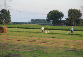 Deux personnes et deux chiens marchent sur une prairie verte près du Holiday Home 3 Aarde Green Camping Lage Zwaluwe.
