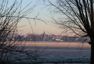 Landskabsudsigt med træer og en kirke i det fjerne, taget fra Holiday Home 3 Aarde Green Camping Lage Zwaluwe.