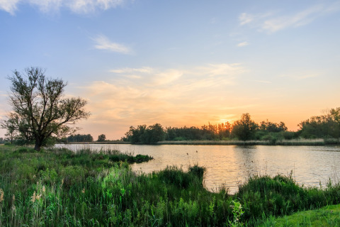Coucher de soleil paisible au bord d’un lac avec arbres et herbe, Holiday Home 3 Aarde Green Camping Lage Zwaluwe, Pays-Bas.