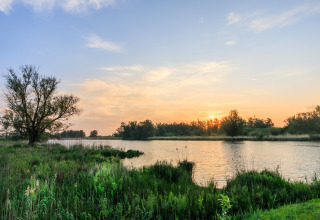 Tranquila puesta de sol junto a un lago con árboles y césped en Holiday Home 3 Aarde Green Camping Lage Zwaluwe, Países Bajos.