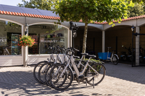 Cykler parkeret foran et minimarked ved Park Duc de Brabant 3 chalet i Holland, omgivet af træer.