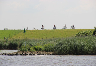 Vier fietsers rijden op een grasdijk aan het water bij Holiday Home 3 Aarde Green Camping in Nederland.