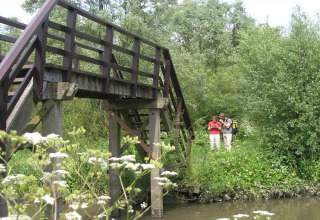 Deux personnes sous un pont en bois près d’un camping vert à Lage Zwaluwe, Pays-Bas, entourés de nature.
