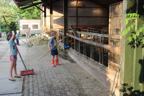 Niños ayudan a barrer y trabajar en una granja durante su estadía en Holiday Home 3 Aarde Green Camping Lage Zwaluwe.