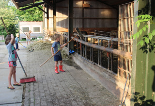 Bambini aiutano a spazzare e lavorare in una fattoria durante il soggiorno a Holiday Home 3 Aarde Green Camping Lage Zwaluwe.