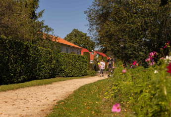 Sentiero con fiori accanto al chalet Park Duc de Brabant 3, persone a passeggio, giornata di sole nei Paesi Bassi.