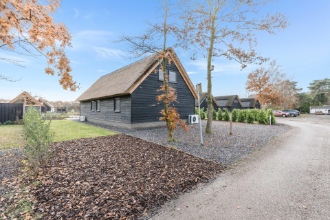 Billede af en moderne sort træhytte med stråtag ved Park de Kievit 22, omgivet af grønt og blå himmel.