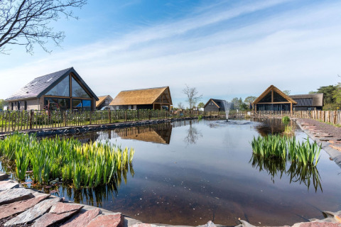 Chalets modernos junto a un estanque con fuente en el Park de Kievit 19 en Bélgica, entorno natural.