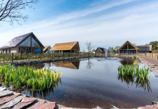 Moderne Chalets am Teich mit Fontäne im Park de Kievit 19 in Belgien, ruhige ländliche Umgebung.