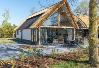 Modernes Chalet mit großen Glasfenstern und Strohdach im Park de Kievit 19, Belgien, sonnig gelegen.