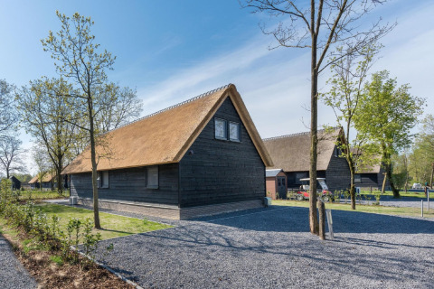 Reetgedecktes Chalet im Park de Kievit 19 in Belgien, umgeben von Bäumen und Kieswegen in natürlicher Umgebung.