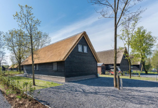 Reetgedecktes Chalet im Park de Kievit 19 in Belgien, umgeben von Bäumen und Kieswegen in natürlicher Umgebung.