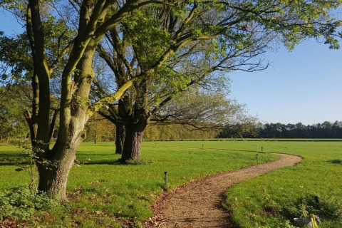 Ein gewundener Pfad führt durch grünes Gras und Bäume bei sonnigem Wetter und Glamping-Unterkunft.