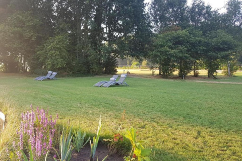 Zona de césped tranquila en un chalet con tumbonas, flores y árboles de fondo bajo la luz del sol.