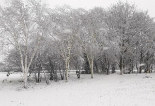 Verschneite Landschaft bei einem Chalet, mit weißen Birken und Bäumen in einer ruhigen Winterumgebung.