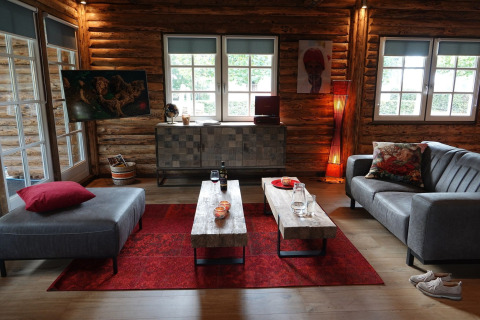 Stue i chalet Park «de Kievit 11» i Belgien, med trævægge, moderne sofaer, rødt gulvtæppe og store vinduer.