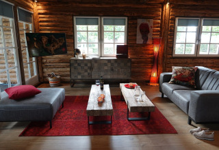 Stue i chalet Park «de Kievit 11» i Belgien, med trævægge, moderne sofaer, rødt gulvtæppe og store vinduer.