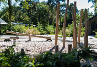 An outdoor playground at a lodge featuring a seesaw, wooden poles, and lush natural surroundings.