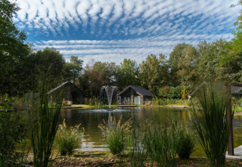 Hermosos alojamientos junto a un estanque con fuente, rodeados de árboles y cielo con nubes.