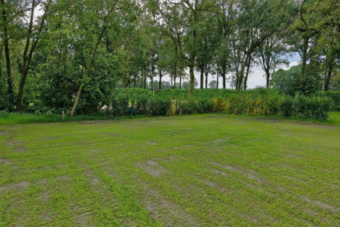 Green lawn at Holiday Park «Latour 4» in the Netherlands, surrounded by trees and bushes on a calm day.