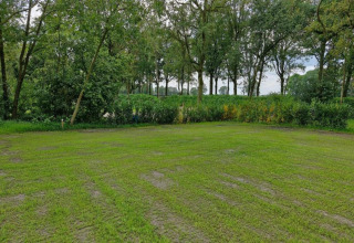 Green lawn at Holiday Park «Latour 4» in the Netherlands, surrounded by trees and bushes on a calm day.