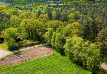 Luftaufnahme einer Lodge, umgeben von grünen Bäumen und Feldern, idyllisch in der Natur gelegen.