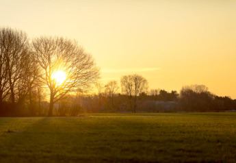 Solnedgang bag træer på en eng ved en lodge, gyldent lys og klart himmel i fredelig natur.