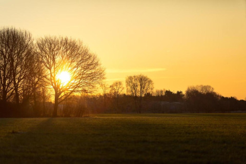 Coucher de soleil à travers les arbres nus près d’un lodge, lumière dorée sur une prairie paisible.