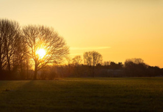 Sunset shines through bare trees on a lodge field, casting golden light over peaceful countryside.