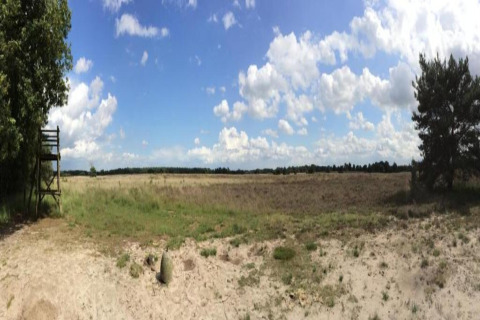 Panoramic view of a glamping site with open fields, trees on each side, and a blue sky with clouds.