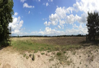 Panoramabillede af et glampingsted med åbent landskab, træer og en træplatform under blå himmel.