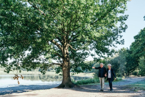 An elderly couple walks hand in hand under a large tree beside a lake near a lodge in the countryside.