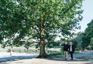 Et ældre par går hånd i hånd under et stort træ ved en sø i nærheden af en hytte på landet.