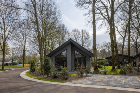 Modernes Ferienhaus im Ferienpark Latour 6 in den Niederlanden, umgeben von Bäumen und Natur im Frühling.