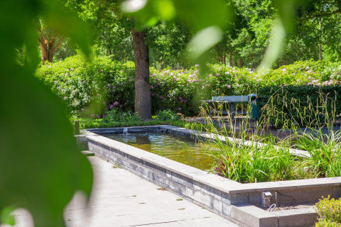 Pond with green foliage and trees in the background at Holiday Park Latour 6 in the Netherlands in summer.