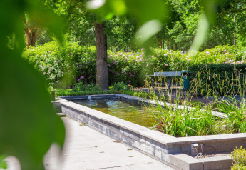 Garten mit Brunnen und grünen Pflanzen im Vordergrund, aufgenommen im Holiday Park Latour 6, Niederlande.